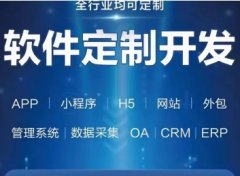 oa系统开发 erp系统开发 crm系统