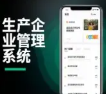 各类系统定制开发、公司内部系统